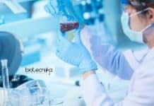 Central University of Tamil Nadu Research Fellow Job Opening CUTN SRF Job Openings