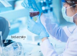 CUTN SRF Job Openings