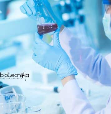 CUTN SRF Job Openings