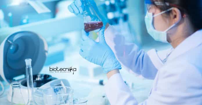 CUTN SRF Job Openings