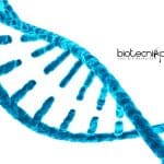 Calcutta University Lifescience SRF