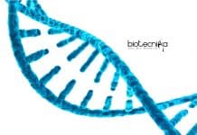 Ministry of AYUSH Funded Life Science Senior Research Fellow at University of Calcutta Calcutta University Lifescience SRF