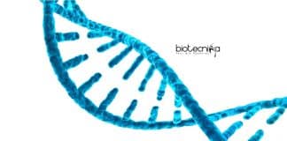 Calcutta University Lifescience SRF