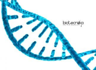 Calcutta University Lifescience SRF