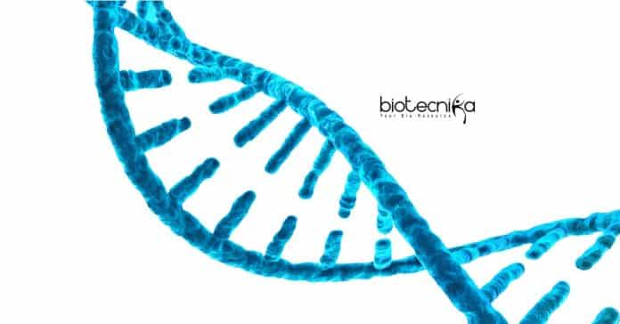 Calcutta University Lifescience SRF