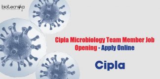Cipla Microbiology Jobb