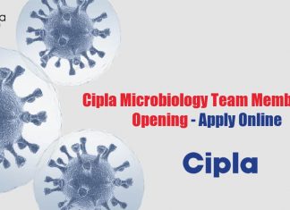 Cipla Microbiology Team Member Job Opening – Apply Online Cipla Microbiology Jobb
