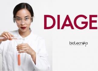 DIAGEO Jobs