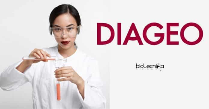 DIAGEO Jobs