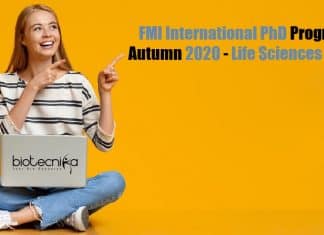 FMI International PhD Admission