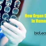 New Organ Discovered in human body