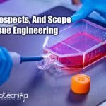 Tissue Engineering - Career Prospects