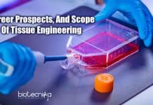 Tissue Engineering – Career Prospects, Skills Required, Institutes & Salary Tissue Engineering - Career Prospects
