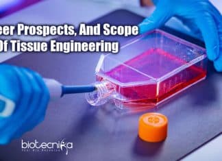 Tissue Engineering – Career Prospects, Skills Required, Institutes & Salary Tissue Engineering - Career Prospects