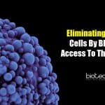 Nuclear Pore Complex and Cancer