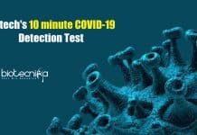 10 Minute COVID-19 Infection Detection Test By Caltech Researchers 10 minute COVID-19 Detection