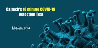 10 minute COVID-19 Detection