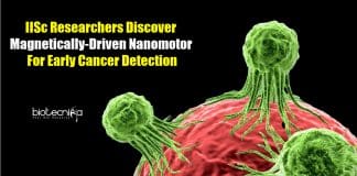Nanomotors early cancer detection