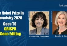 The Nobel Prize in Chemistry 2020 Goes To CRISPR Gene Editing Nobel Prize in Chemistry 2020