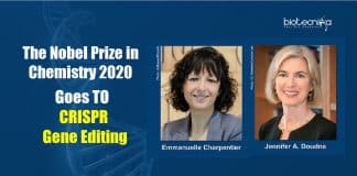 Nobel Prize in Chemistry 2020