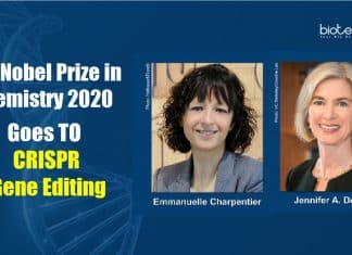 Nobel Prize in Chemistry 2020