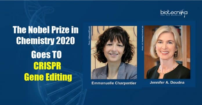 Nobel Prize in Chemistry 2020