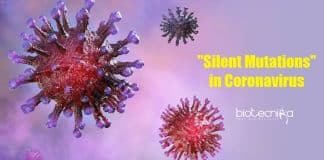 Recognizing the 'Silent' Mutations in Coronavirus That Gave it an Evolutionary Edge 