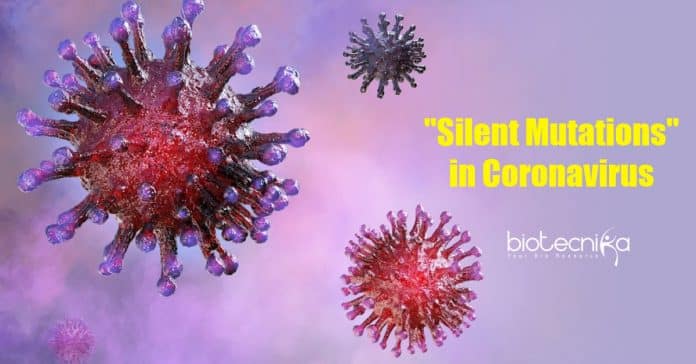 Recognizing the 'Silent' Mutations in Coronavirus That Gave it an Evolutionary Edge 