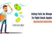 Using Fats As Weapon To Fight Back Against Bacterial Infection Body Fats Fight Back Against Bacterial Infection