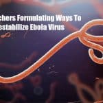 New Ebola Therapeutic Study Targeting the Nucleocapsid of the Virus