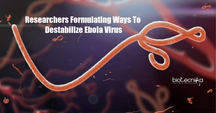 New Ebola Therapeutic Study Targeting the Nucleocapsid of the Virus