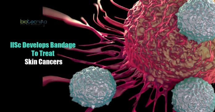 IISc develops bandage to treat skin cancers