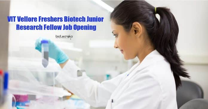 Freshers Biotechnology Jobs
