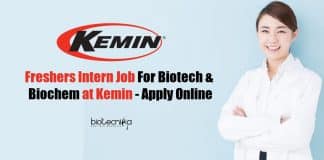 Freshers Intern Job