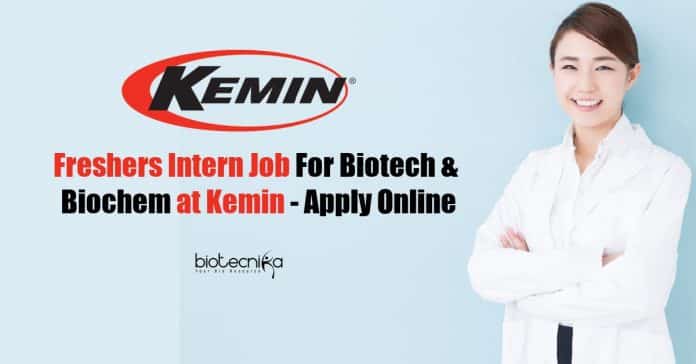 Freshers Intern Job