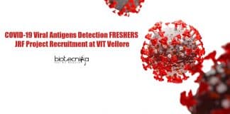 Freshers JRF Job