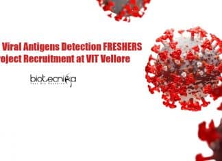 Freshers JRF Job