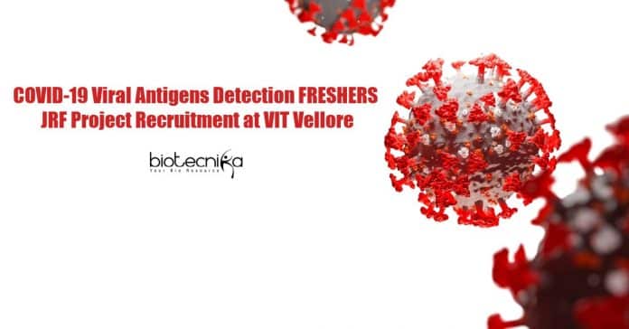 Freshers JRF Job
