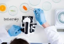 GNDU Food Tech & Food Science Project Fellow Job Opening GNDU Food Tech