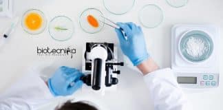 GNDU Food Tech