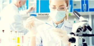 Government Postdoctoral Fellow Job