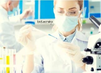 Government Postdoctoral Fellow Job