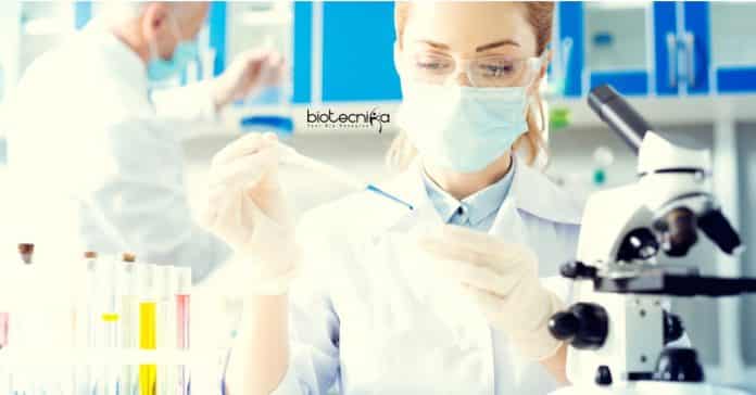 Government Postdoctoral Fellow Job
