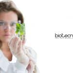 Hyderabad University Research Associate Job – PhD Plant Mol Biology Hyderabad University Research