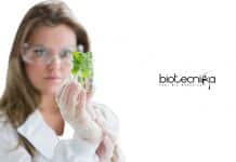 Hyderabad University Research Associate Job – PhD Plant Mol Biology Hyderabad University Research