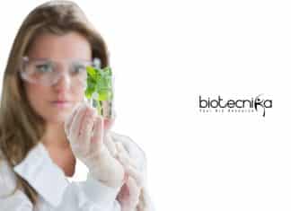 Hyderabad University Research Associate Job – PhD Plant Mol Biology Hyderabad University Research