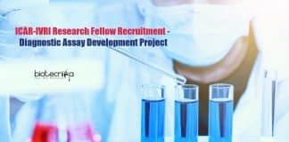 ICAR-IVRI Research Fellow