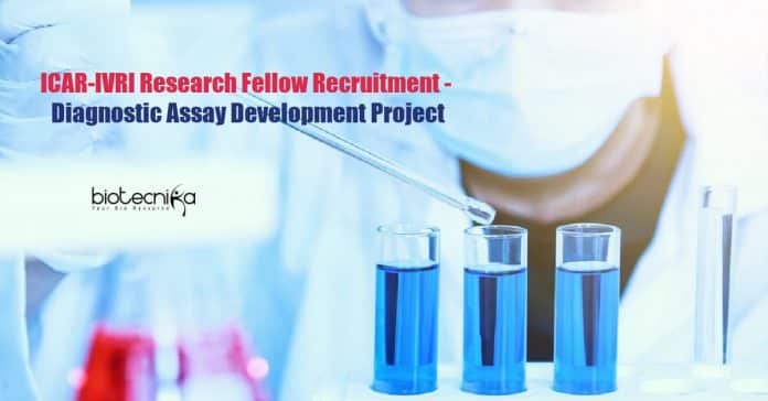 ICAR-IVRI Research Fellow
