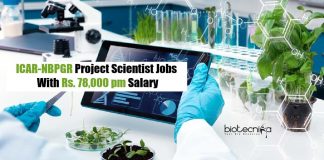 ICAR-NBPGR Biotech Jobs