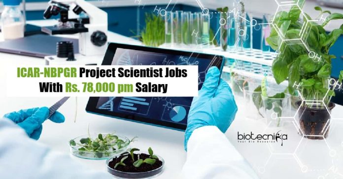 ICAR-NBPGR Biotech Jobs